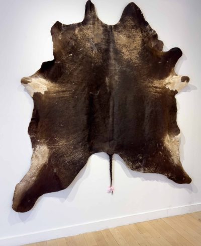 Artist’s mother’s cowhide rug, artist’s hair sheddings, ribbon
2024
90 x 87 x 0.625in